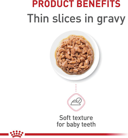 Royal Canin Feline Health Nutrition Kitten Thin Slices in Gravy Cat Food, 3 oz (Pack of 12)