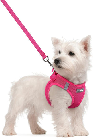 rabbitgoo Dog Harness Small Sized and Leash Set, Step-in Puppy Pet Vest