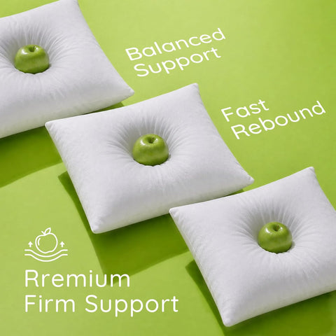 Ashler 20x20 Pillow Inserts, Set of 2