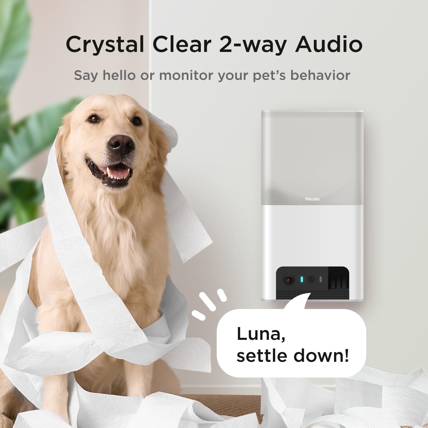 Petcube Bites 2 Lite - WiFi Pet Camera with Treat Dispenser & App