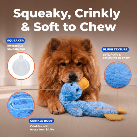 Best Pet Supplies Interactive Squeaky Dog Toy - Crinkle Duck, Blue