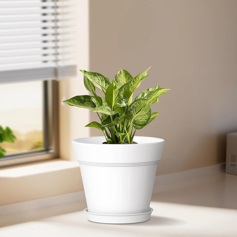 WSMKSZ 5 Inch Plastic Plant Pots with Drainage Holes and Trays – 6 Pack Small Nursery Pots for Indoor & Outdoor House Plants and Flowers, Seedling Starter Planters, White