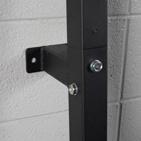 Titan Fitness Weight Plate Wall Mounted Storage Rack, Angled 4-Peg Design, Olympic Sized Weight Plate Organizer, Rated 800 LB, Anchored Wall Mounted Storage