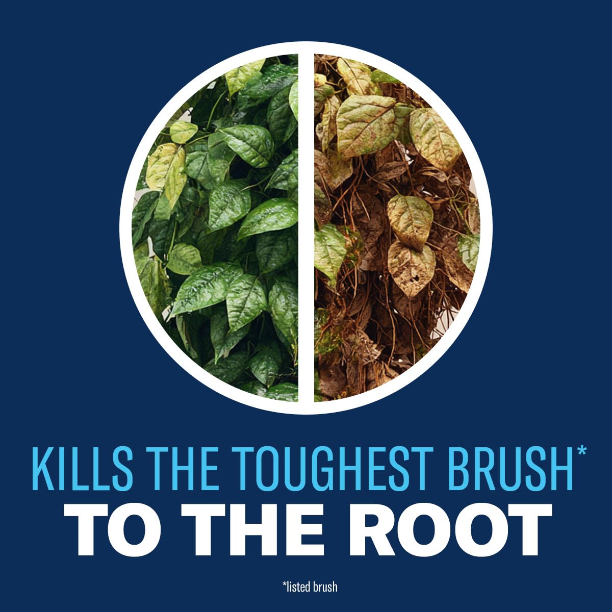 BioAdvanced Brush Killer Plus Concentrate - Mix & Spray - Kills Tough Brush like Poison Ivy and Kudzu - Visible Results in 1-6 Weeks - Rainproof in 4 Hours - 32 fl oz Bottle