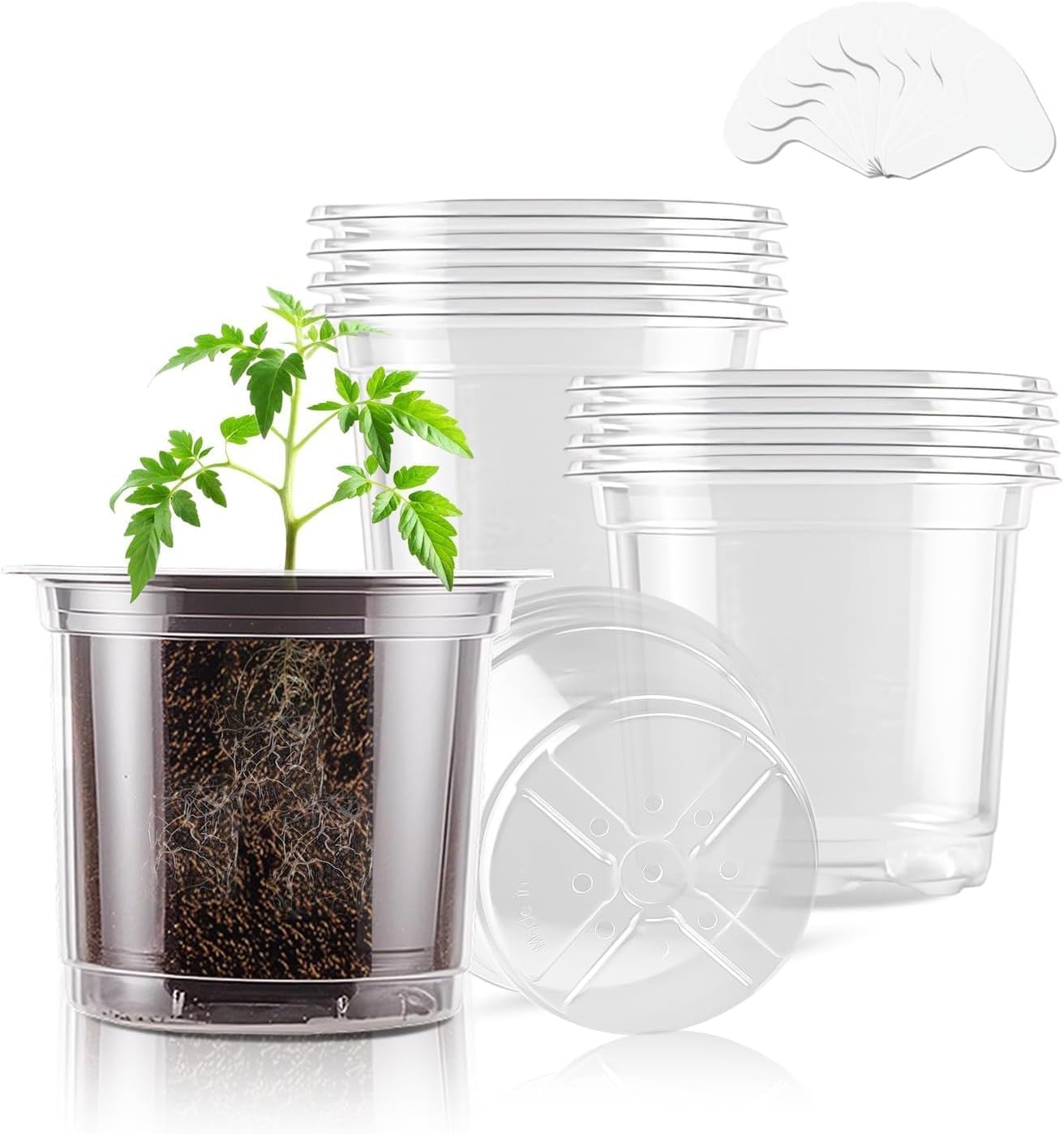 SupKing 4 Inch Clear Plant Nursery Pots 8 Packs Durable Plastic Seed Starters Small Orchid Flower Pots with Drainage Holes for Transplanting Succulents Cuttings Seedlings Bonus 15 Plant Labels