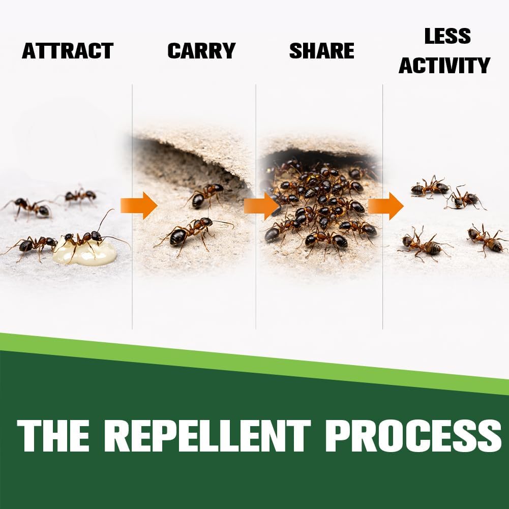 Keep Ants Away Repellent Indoor Pet Safe, Get Rid of Ant- 6P