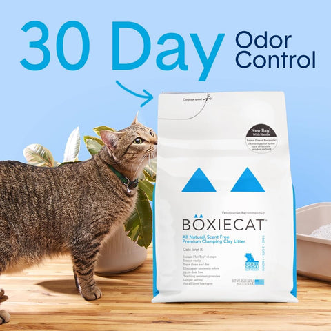 Boxie Premium Unscented Clumping Cat Litter 30+ Day Odor Control 16 lb