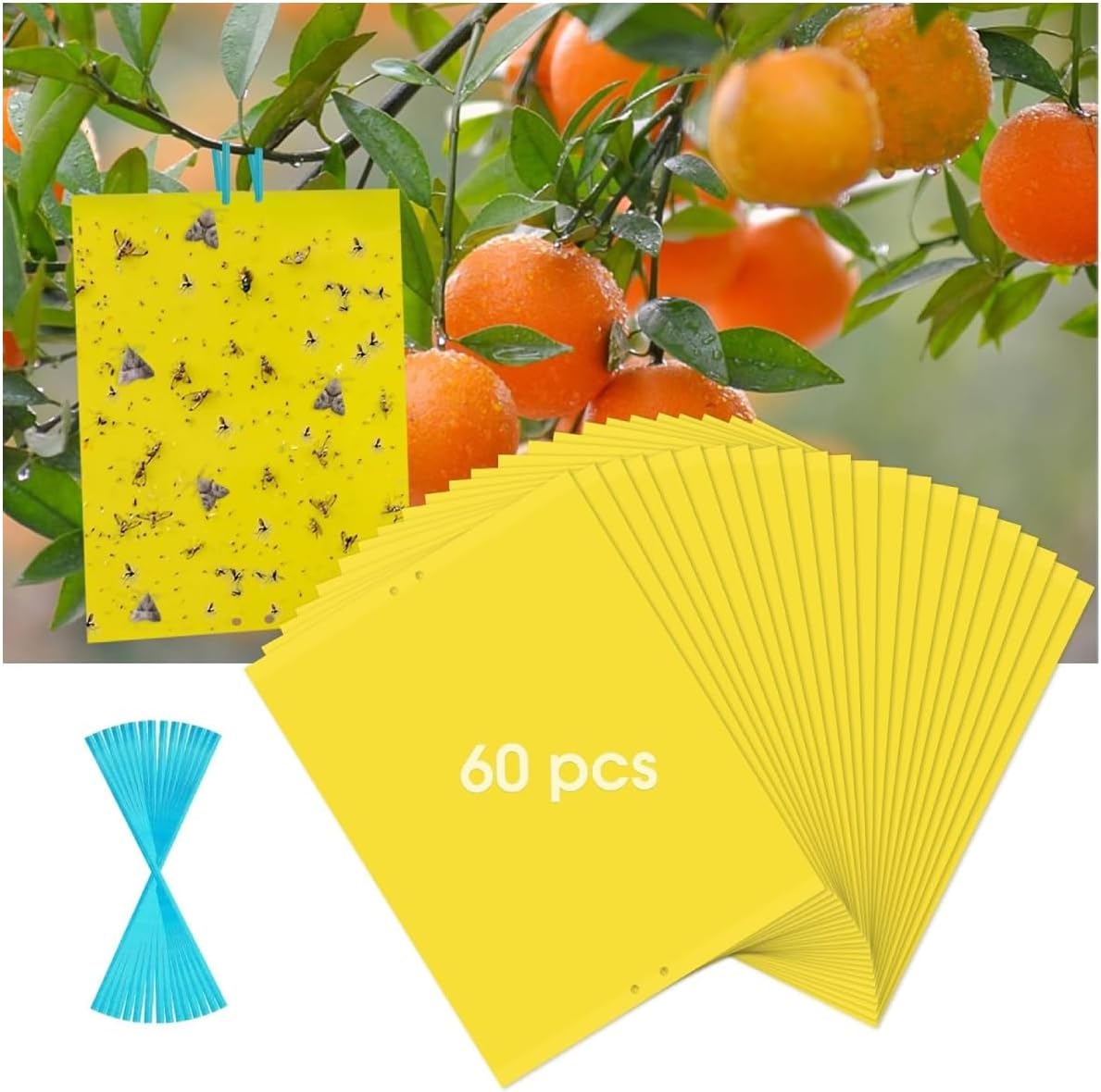 60 Pack Yellow Sticky Traps for Gnats, Fruit Fly Traps for Indoors Plants