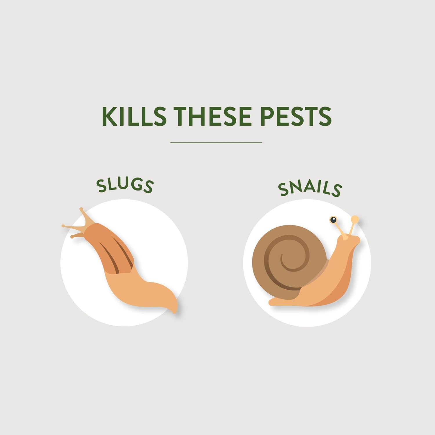 Garden Safe Slug & Snail Bait Granules, Kills Slugs & Snails, 2 Lb