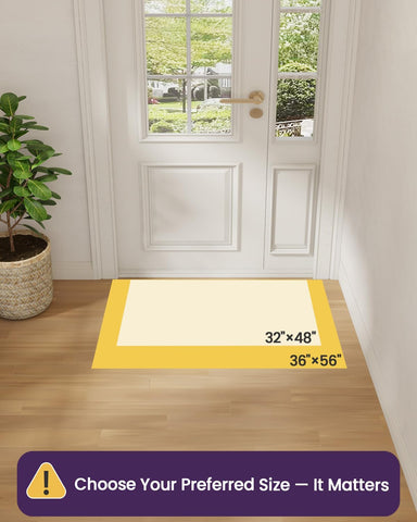 DEXI Ultra Thin Indoor Door Mat 36x56, Entrance Doormats, Black