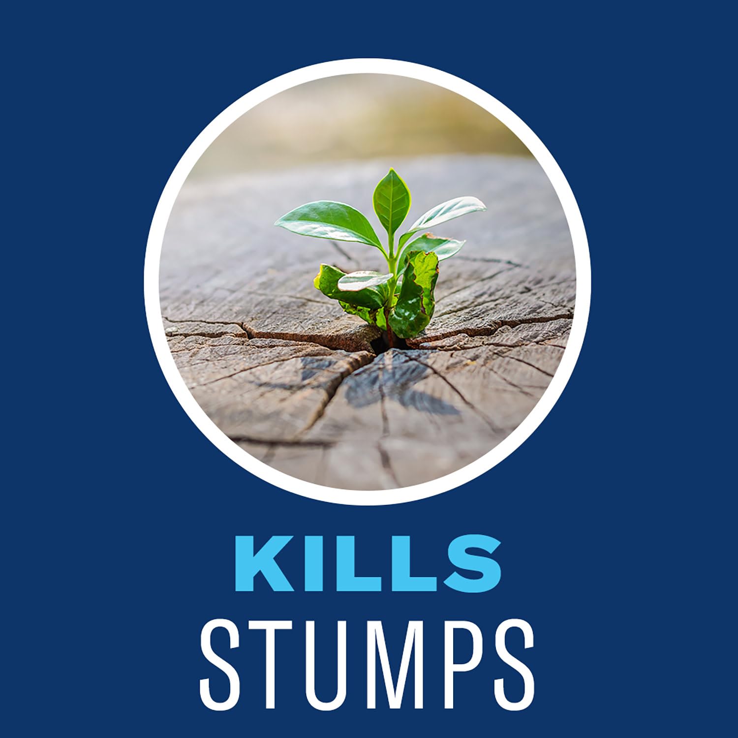 BioAdvanced Brush Killer Plus Concentrate - Mix & Spray - Kills Tough Brush like Poison Ivy and Kudzu - Visible Results in 1-6 Weeks - Rainproof in 4 Hours - 32 fl oz Bottle