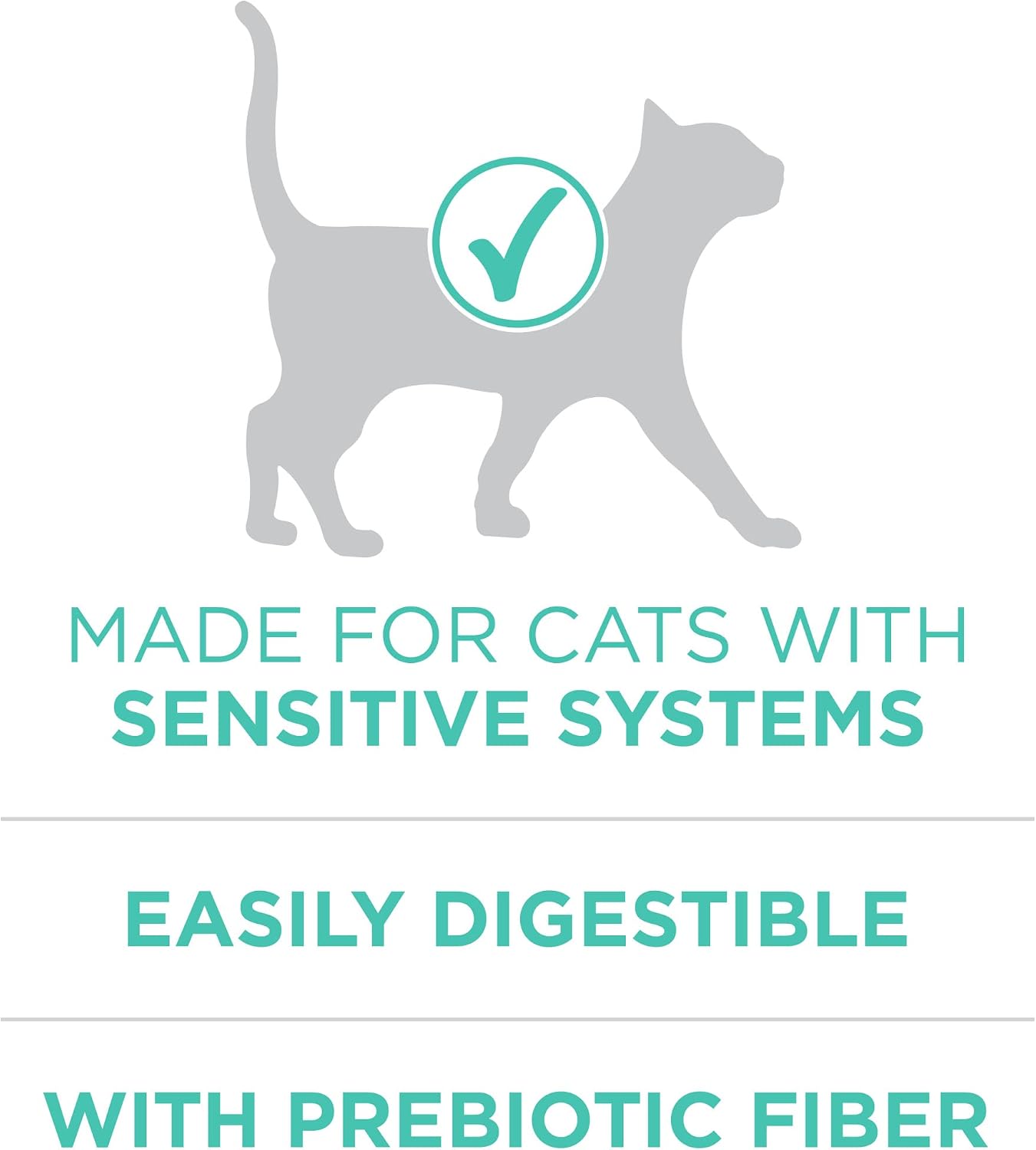 Purina ONE Sensitive Skin and Stomach Dry Cat Food 7 lb Bag