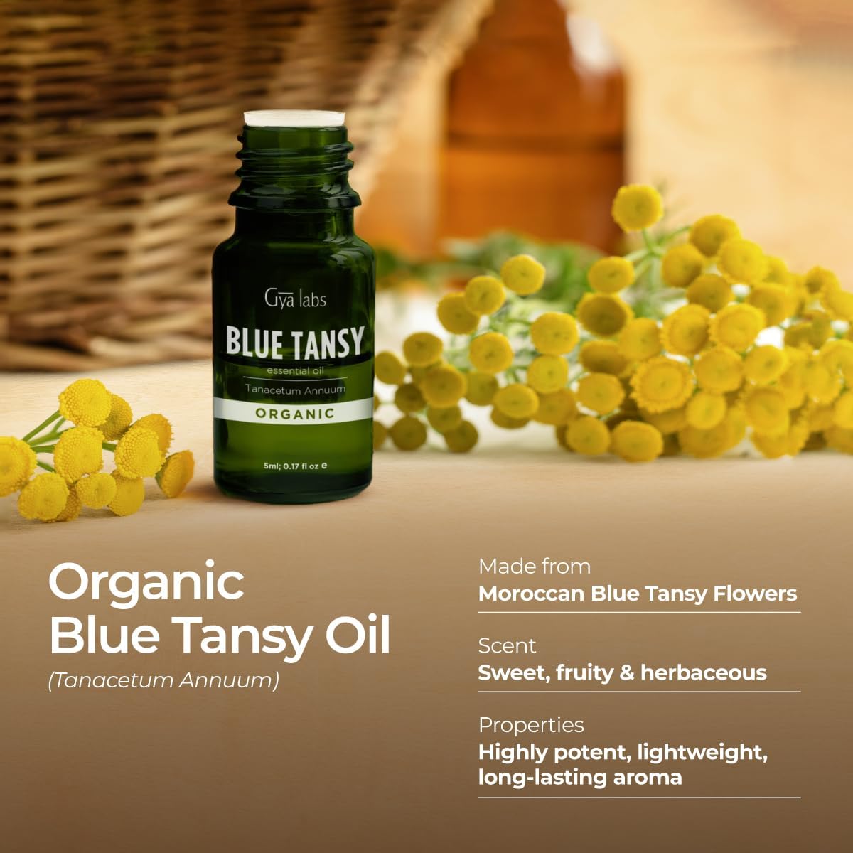 100% Pure Blue Tansy Essential Oil for Skin & Diffuser - 0.17 Fl Oz