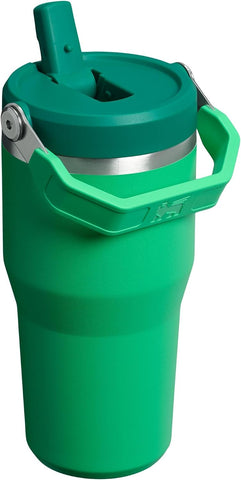 STANLEY IceFlow 2.0 Flip Straw Tumbler, 20 oz, Meadow