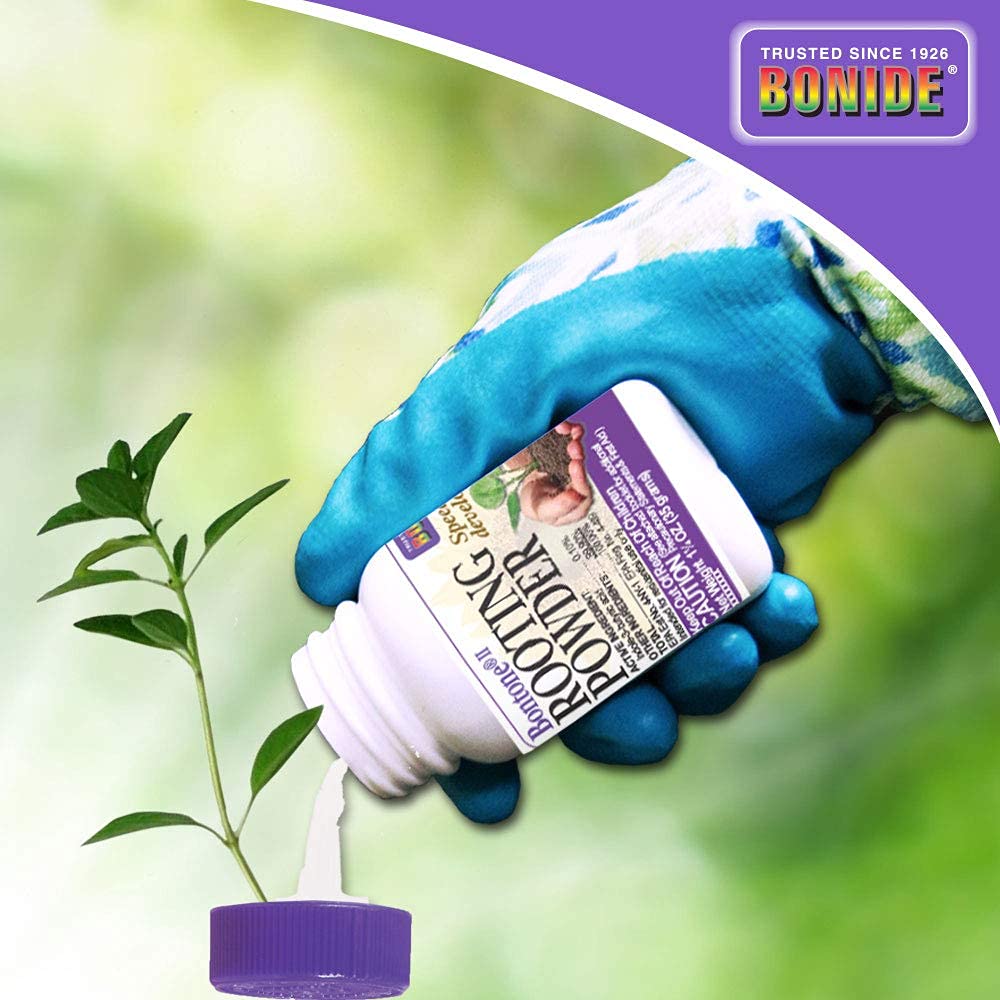 Bonide Bontone II Rooting Powder, 1.25 oz Ready-to-Use Dust for Houseplants and Transplants Speeds Root Development, (Pack of 6)