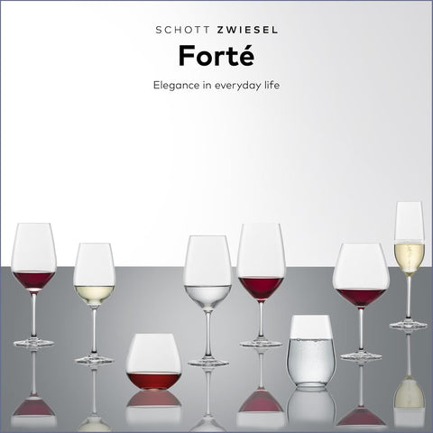 SCHOTT ZWIESEL Forté Universal Tumbler (Set of 6), Versatile Drinking Glasses, Dishwasher-Safe Tritan Crystal Glasses, Made in Germany (19 Ounce)