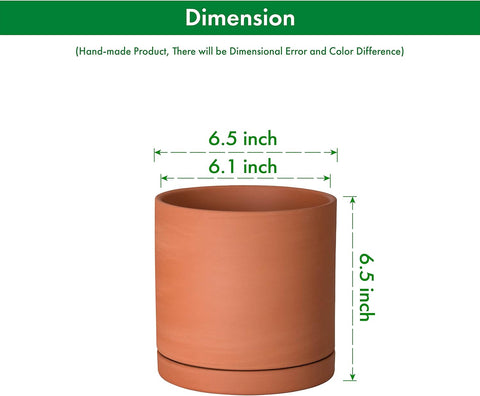 D'vine Dev Terracotta Plant Pot with Saucer, 6 Inch, 40-X-A-3
