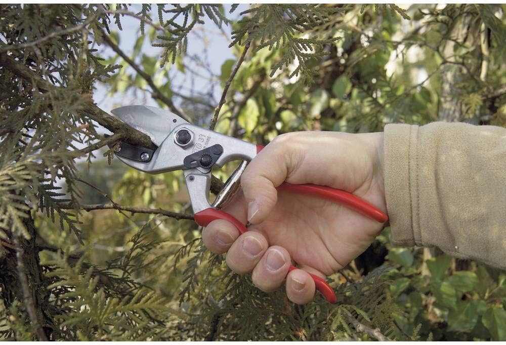 Felco F31 Pruning Shears – 8.3" Garden Clippers with Anvil Blade for Dry & Hard Wood | Hand Pruner for Gardening | Garden Tool Cutter with Aluminum Handle, Alloy Steel Blade, High-Torque Cutting Power