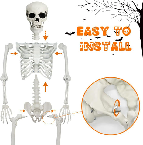 5.4ft Halloween Full Size Skeleton with Dog Cat for Haunted Party Decor