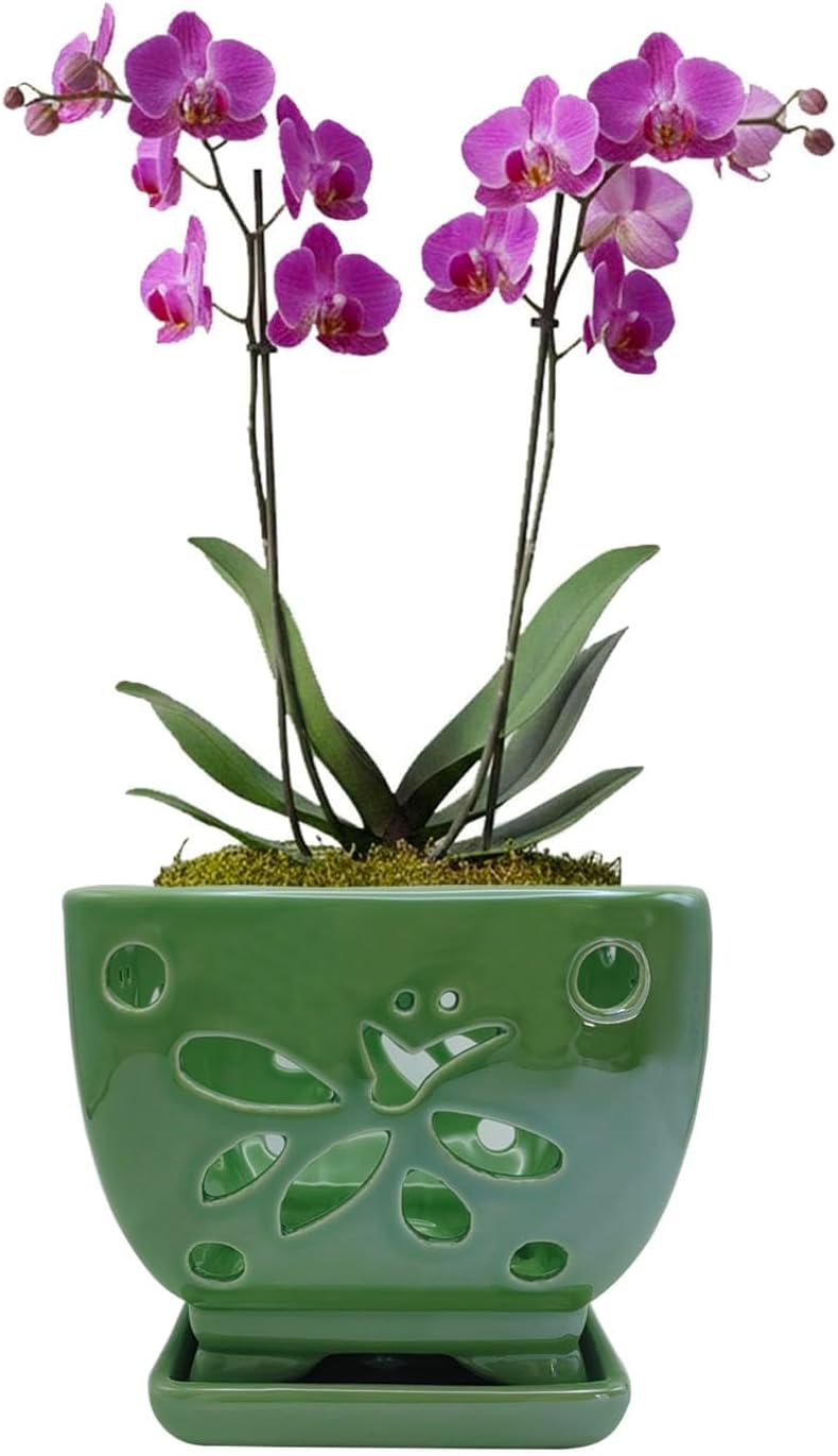 Orchid Pots with Holes Ceramic Orchid Planter Pots Square 5.5 inch (Green)