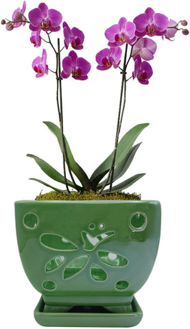 Orchid Pots with Holes Ceramic Orchid Planter Pots Square 5.5 inch (Green)