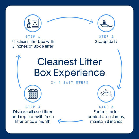 Boxie Premium Unscented Clumping Cat Litter 30+ Day Odor Control 16 lb