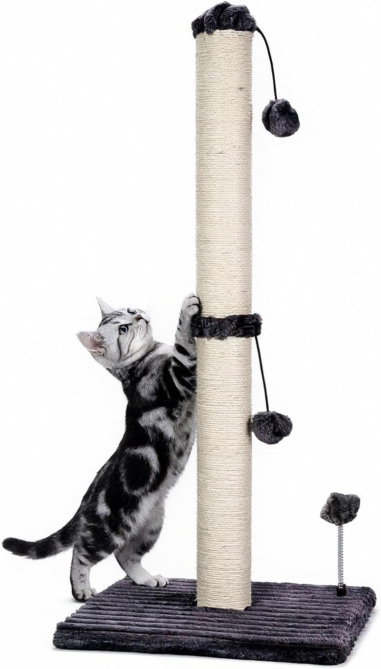 MECOOL 34“ Tall Cat Scratching Post Premium Basics Kitten Scratcher Sisal Scratch Posts Trees with Hanging Ball for Indoor Cats (34 inches for Adult Cats, Charcoal Gray)