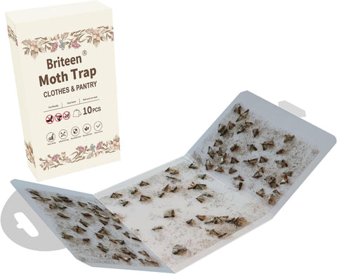 Pantry Moth Traps 10-Pack Safe and Effective for Food and Clothing- Glue Traps with Pheromones for Wool Closet Carpet Food and Cupboard K01