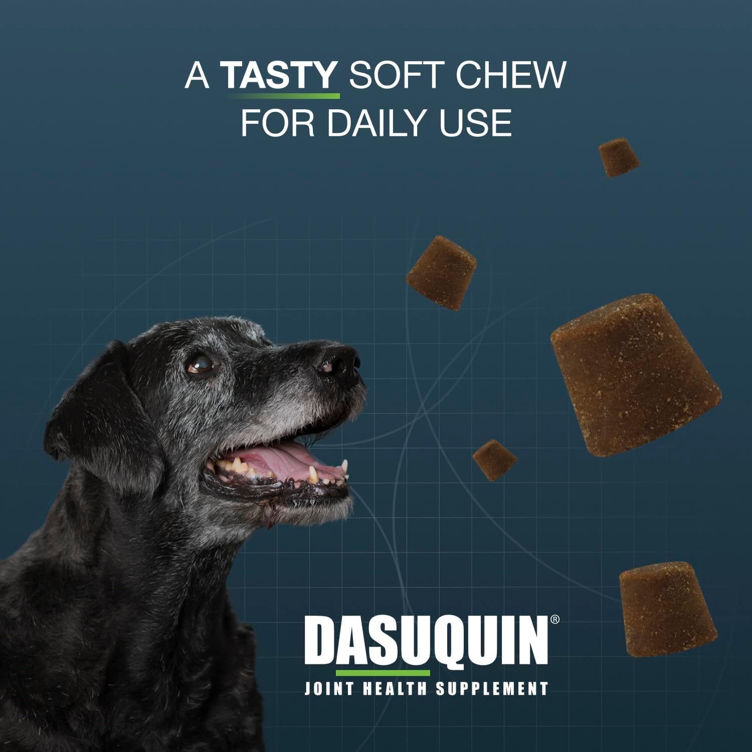 Nutramax Dasuquin Senior Joint Supplement for Large Dogs Soft Chews 84ct