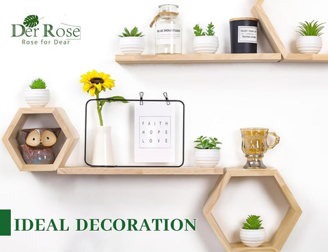 Der Rose 6 Pack Succulents Fake Plants for Bedroom Bathroom Home Decor