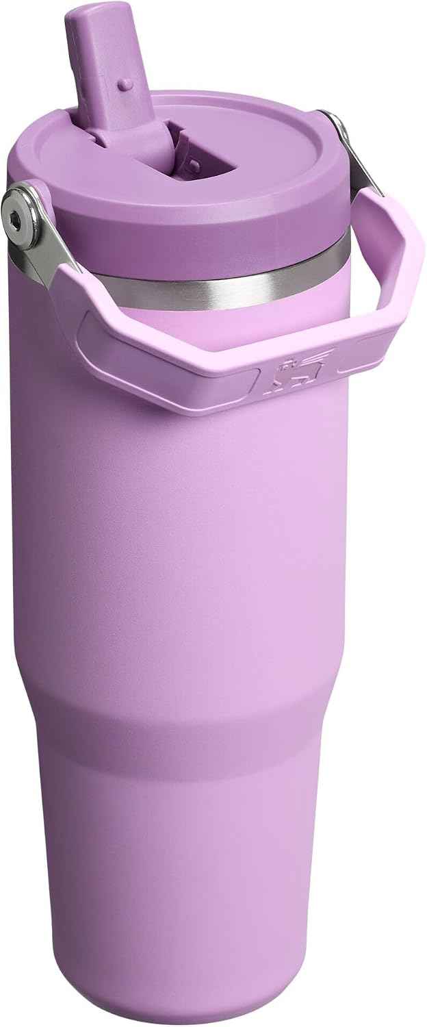 STANLEY IceFlow 2.0 Flip Straw Tumbler, 30 oz, Lilac