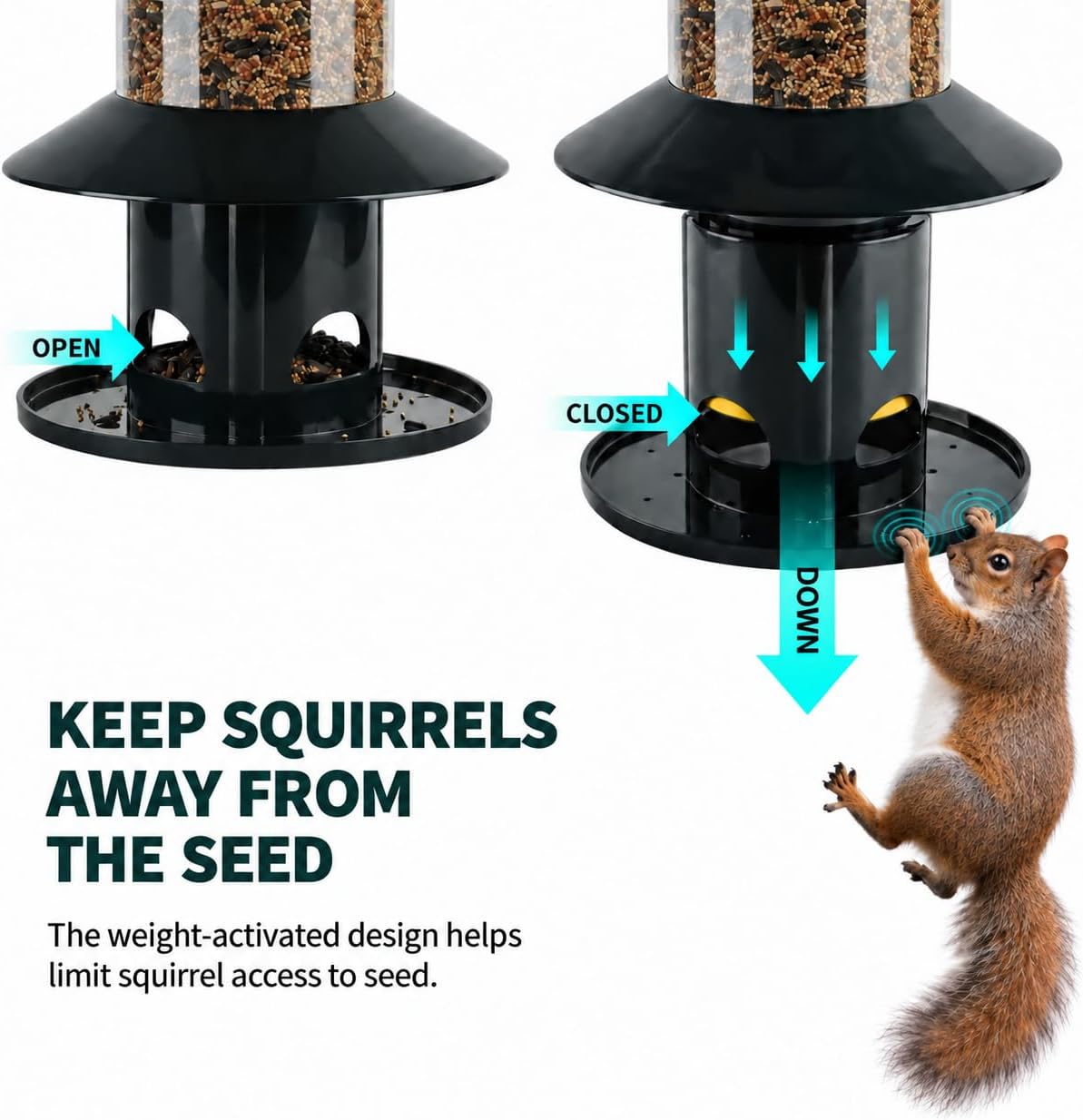 Squirrel-Proof Bird Feeder for Outdoor Wild Bird