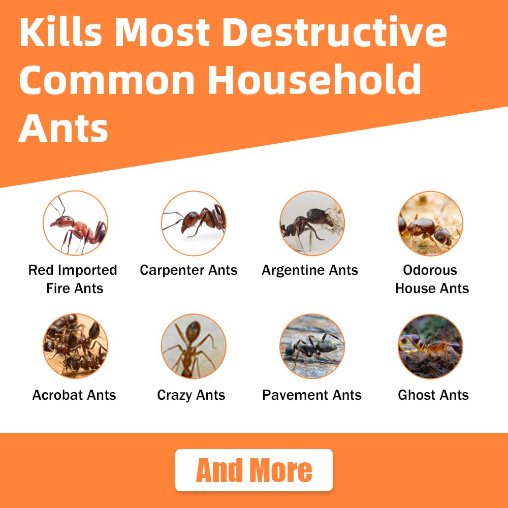 48 Pack Slow-Acting Ant Gel Bait for Eliminate Entire Ant Colony, Effective Carpenter Ant Bait Gel Ant Traps Indoor for Home Kitchen Bathroom, Long Lasting Carpenter Ant Killer Outdoor, Ready-to-Use