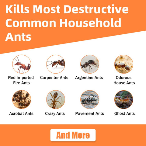 48 Pack Slow-Acting Ant Gel Bait for Eliminate Entire Ant Colony, Effective Carpenter Ant Bait Gel Ant Traps Indoor for Home Kitchen Bathroom, Long Lasting Carpenter Ant Killer Outdoor, Ready-to-Use