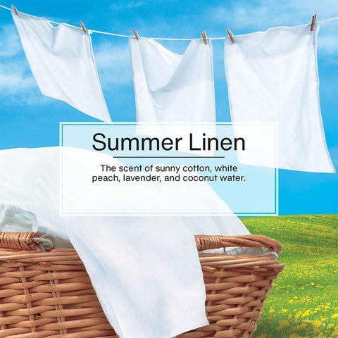 LITTLE TREES Car Air Freshener | Hanging Paper Tree for Home or Car | Summer Linen | 6 Pack