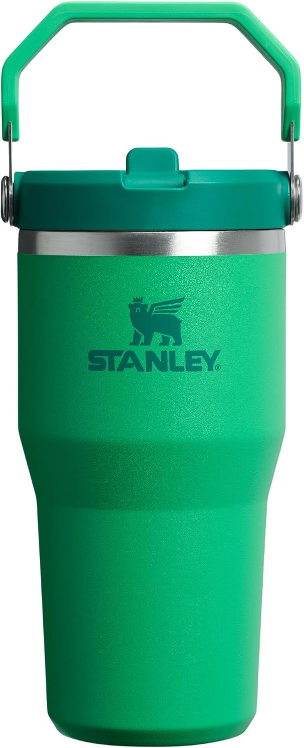 STANLEY IceFlow 2.0 Flip Straw Tumbler, 20 oz, Meadow