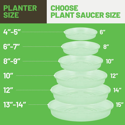 MUDEELA 6-Pack Plastic Plant Saucers Tray for Indoor, 6 Inches, Clear