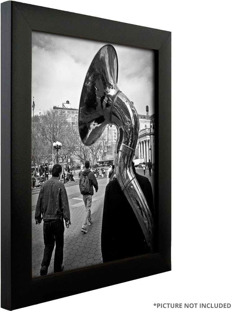 Craig Frames 16x20 Black Picture Frame, Wall Decor for Posters and Photos