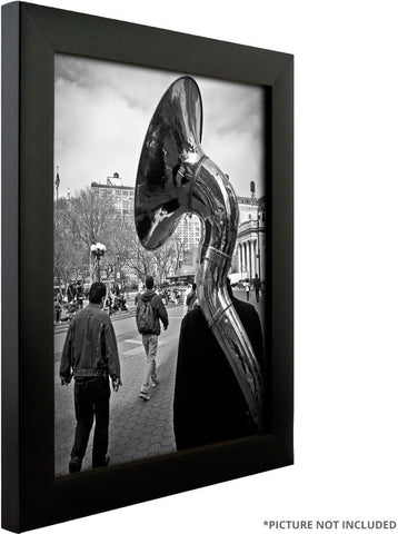 Craig Frames 16x20 Black Picture Frame, Wall Decor for Posters and Photos