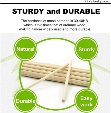 HOPELF 10PCS Dowel Rods Wood Sticks Wooden Dowel Rods - 1/2 x 6 Inch Bamboo Sticks - for Crafts，Hardwood Dowel Rod Assortment，Wooden Rod Sticks Doweling Rods，DIYers.