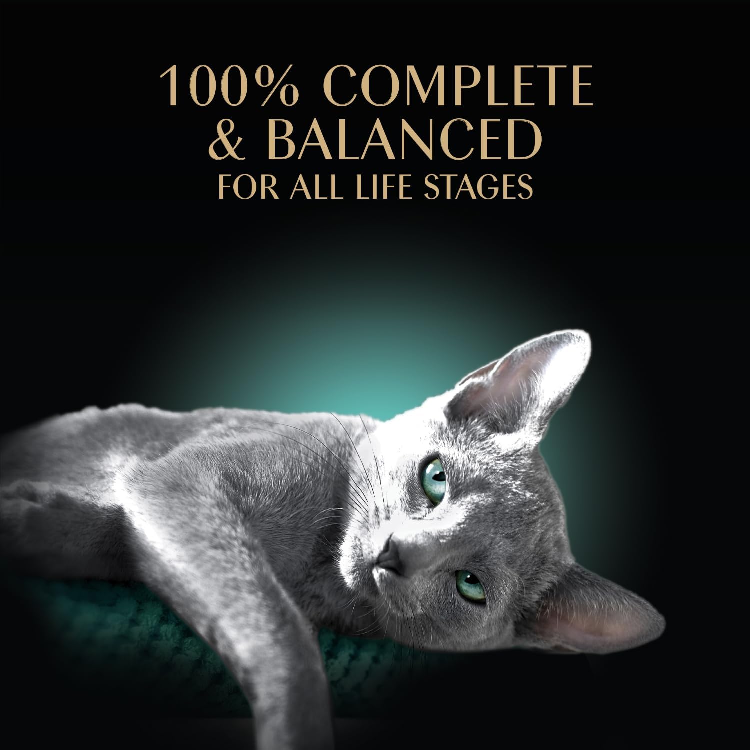 Sheba Perfect Portions Pate Wet Cat Food, Sustainable Salmon, 2.6 oz, 24 ct