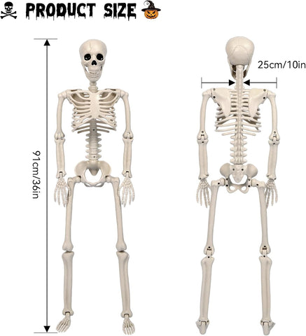2 Pack Skeleton Halloween Decorations-3 ft Full Body Posable Joints