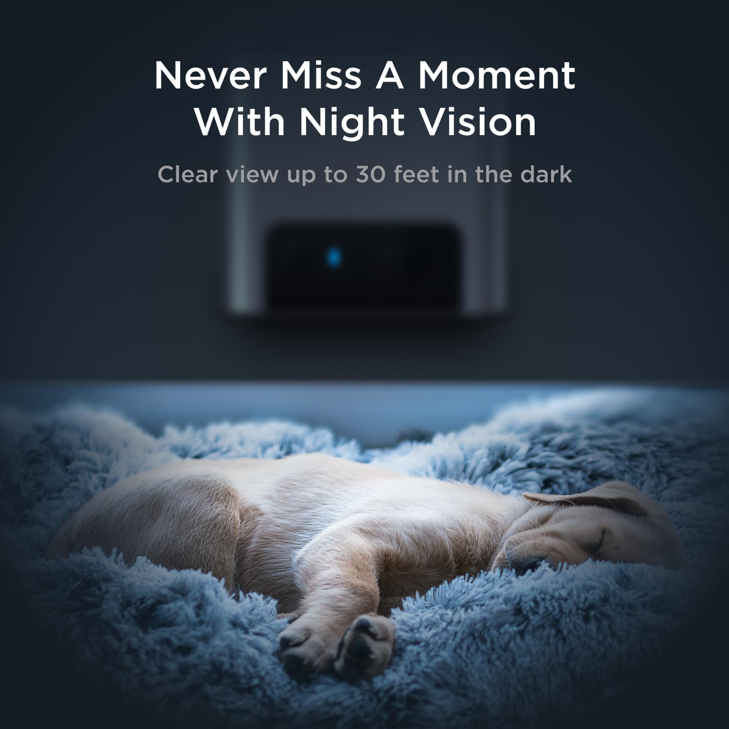 Petcube Bites 2 Lite - WiFi Pet Camera with Treat Dispenser & App