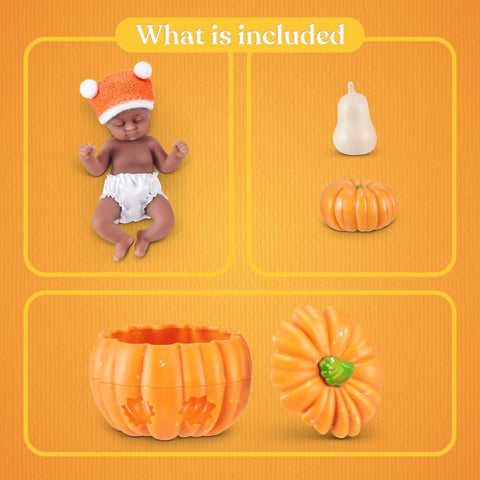 My Mini Pumpkin Patch Series 1 By ZURU
