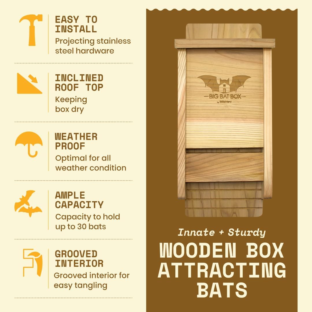BIGBATBOX Bat House for Outdoors - 1 Chamber, No Interior Paint, Cedar