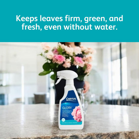 Chrysal Glory Flower and Foliage Finish — Floral Supplies for Fresh Flowers — Spray for Fresh Cut Flower Arrangements — Cut Flower Preservative Spray — Ideal Florist Supplies (2 Pack)