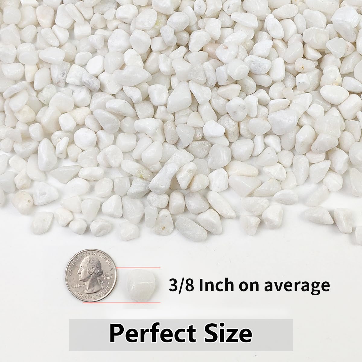 YISZM 10LB Succulent and Cactus Gravel Pebbles, 3/8 Inch White Stones
