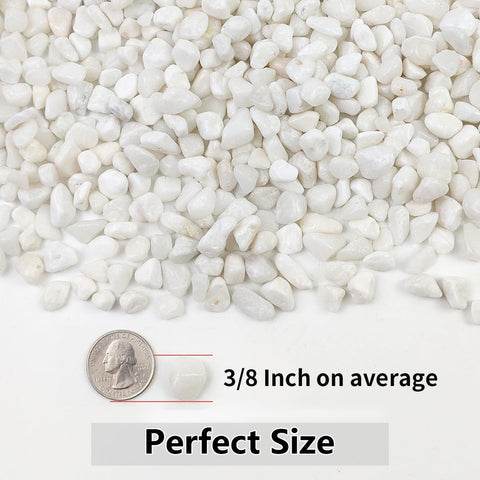 YISZM 10LB Succulent and Cactus Gravel Pebbles, 3/8 Inch White Stones