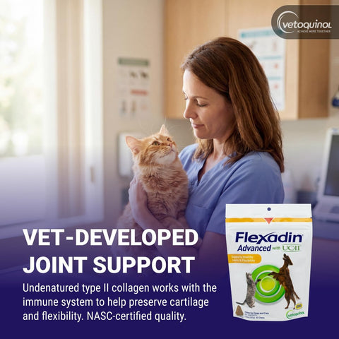 Vetoquinol Flexadin Advanced Hip and Joint Supplement with Undenatured Collagen for Dogs, One Chew a Day Hip and Joint Support Chew for Dogs and Cats, Clinically Proven Vet-Approved Formula, 60 Chews
