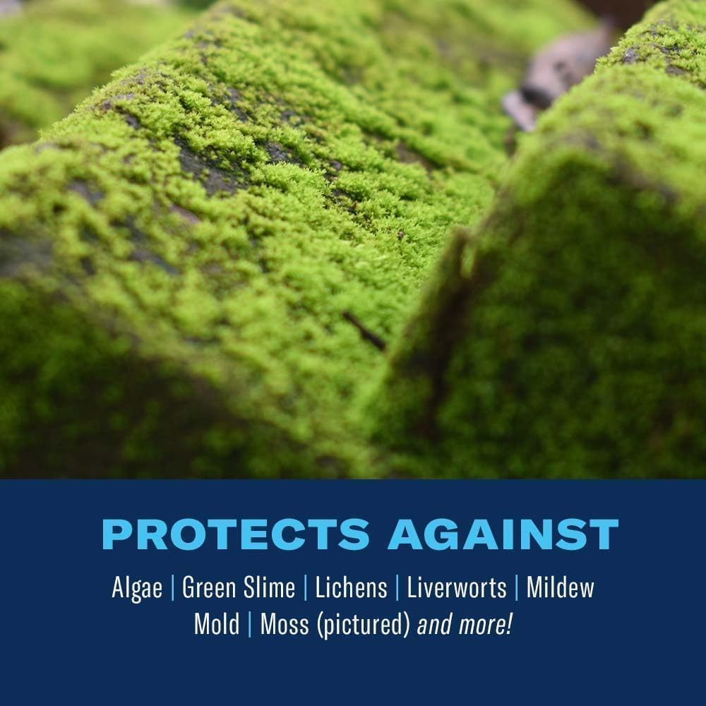 BioAdvanced 2-in-1 Moss and Algae Killer and Cleaner, Ready-to-Spray, 32 oz, 500 SQ FT